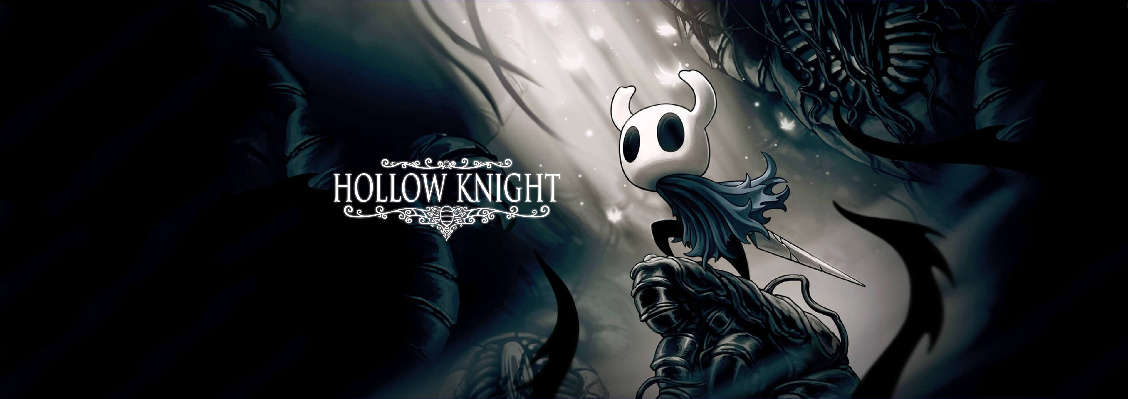 Hollow Knight