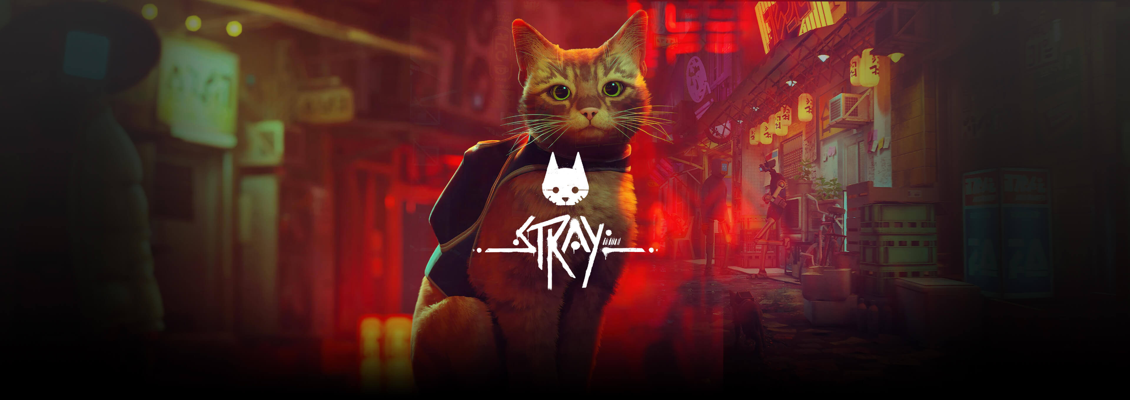 Stray